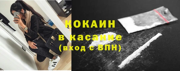 дживик Богородицк