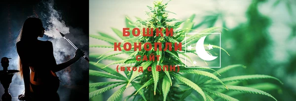 дживик Богородицк