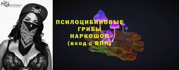 дживик Богородицк