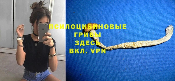 эйфоретик Богородск