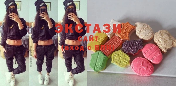 дживик Богородицк