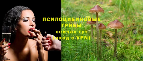 гашишное масло Богданович