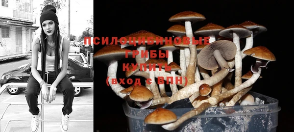 эйфоретик Богородск